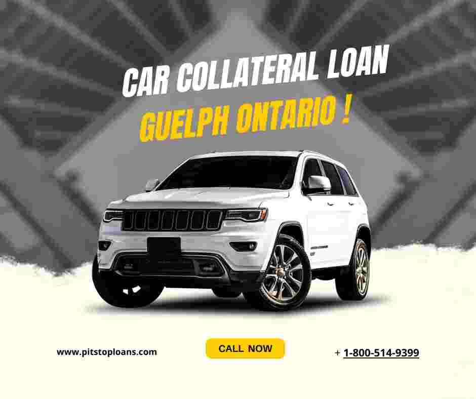 Use Car Collateral Loan Guelph Ontario for Pyometra Surgery